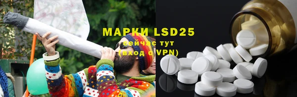 PSILOCYBIN Майский