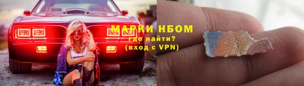 PSILOCYBIN Майский