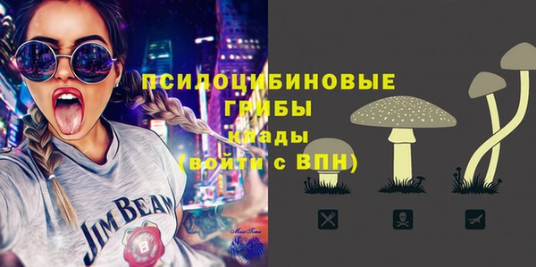 PSILOCYBIN Майский