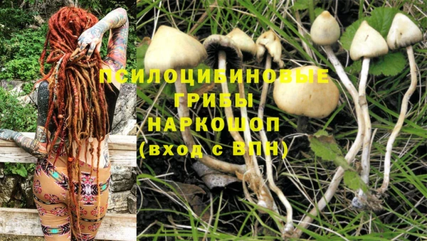 альфа пвп Магадан
