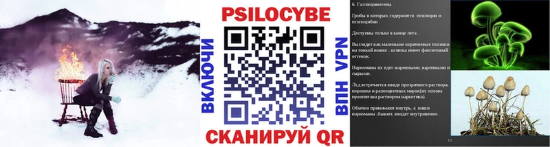 Псилоцибиновые грибы MAGIC MUSHROOMS наркотики Саров