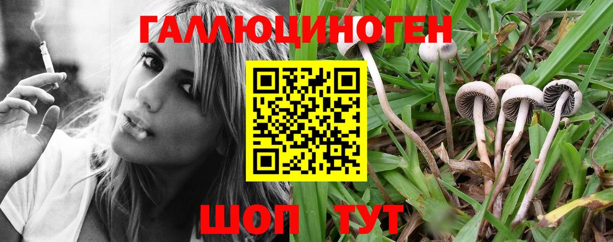 Псилоцибиновые грибы GOLDEN TEACHER  Галлюциногенные грибы MAGIC MUSHROOMS  Саров 
