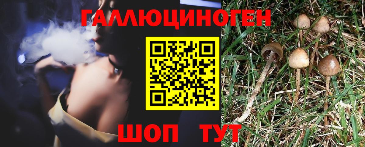 Галлюциногенные грибы мицелий Саров