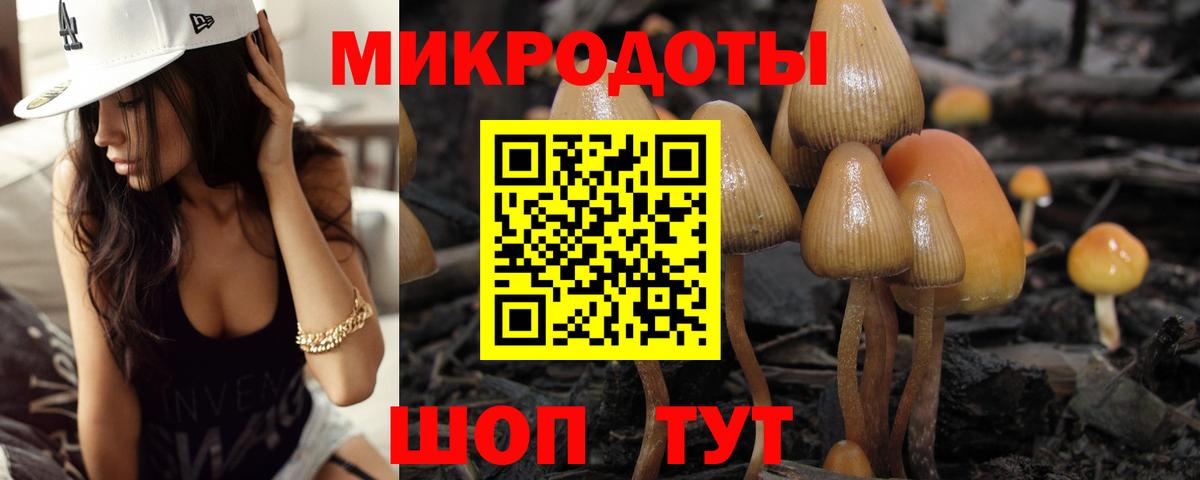 Псилоцибиновые грибы MAGIC MUSHROOMS  Вход с VPN  Саров  Галлюциногенные грибы мухоморы 